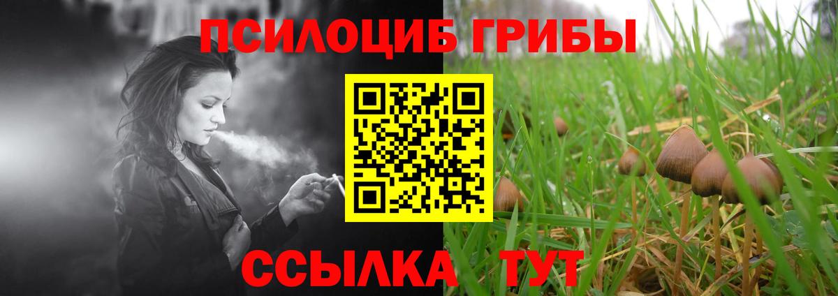 Белебей  Псилоцибиновые грибы MAGIC MUSHROOMS  Вход с VPN 